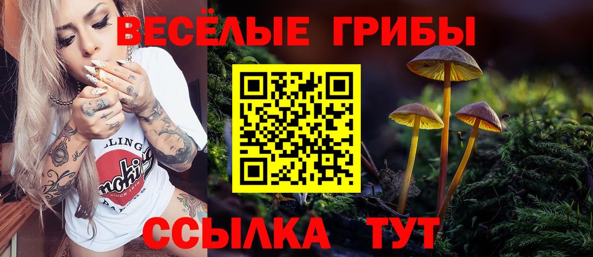 купить   Галлюциногенные грибы мухоморы  Галлюциногенные грибы Cubensis  Вход с VPN  Звенигород 